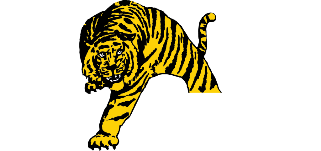 Tiger Offshore Rentals logo