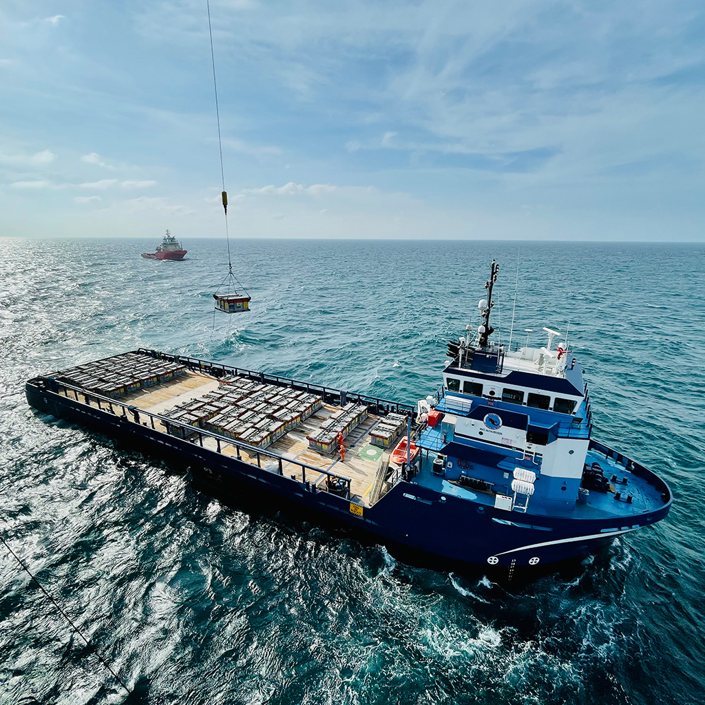Tiger_Offshore_Rentals_Mexico_Ops_1024x1024