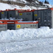 1999 – Tiger Enters the Canada Market