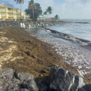 Oilspill-1