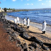Oilspill-2