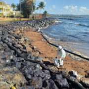 Oilspill-4