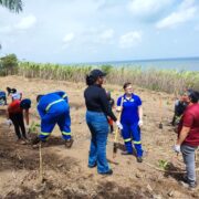 Trinidad Community Service Plant for a Purpose