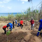 Trinidad Community Service Plant for a Purpose