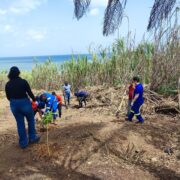 Trinidad Community Service Plant for a Purpose