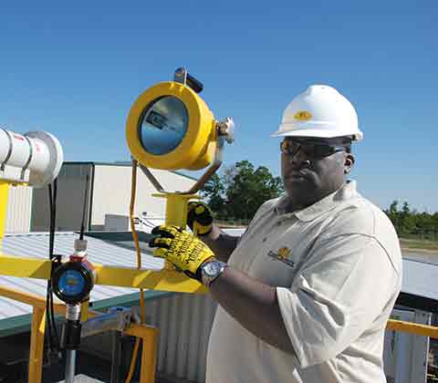 Tiger-Safety-Tiger-Eyes